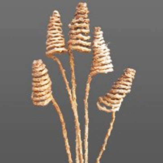 Cones & Curls Plan Cap