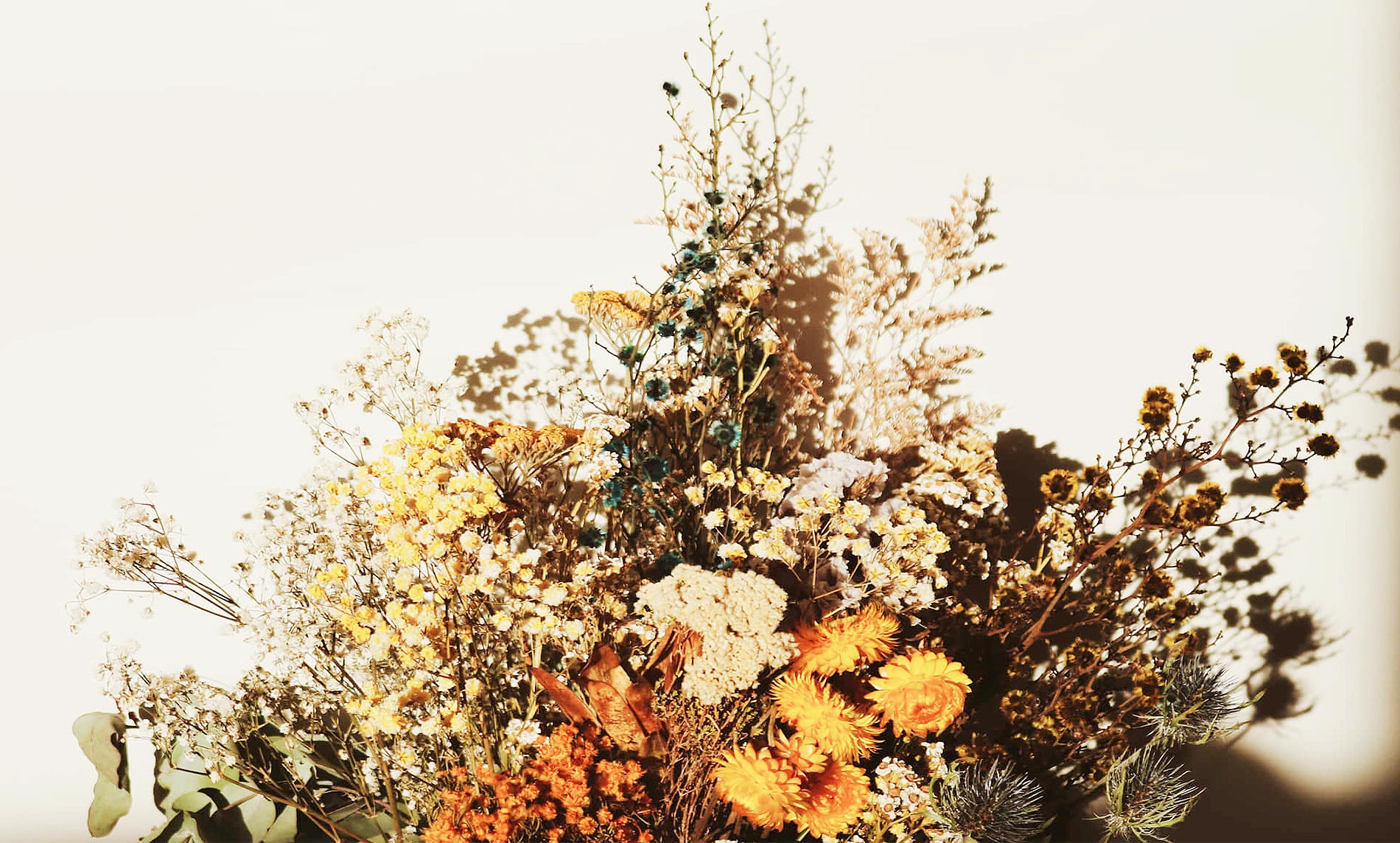 Dry Flower arrangements